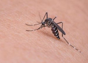 Vaccine Candidate against three Mosquito-borne Encephalitis Viruses, clinical trials