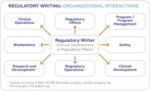 regulatory medical writing: organizational interactions