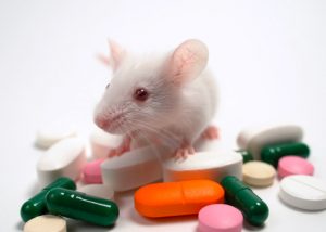 FDA Plans to Move Away from Requiring Animal Tests Before Human Drug Trials