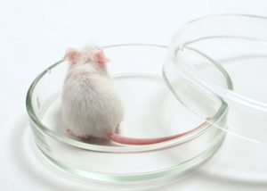 Self-Charging Battery Battles Tumors in Mice